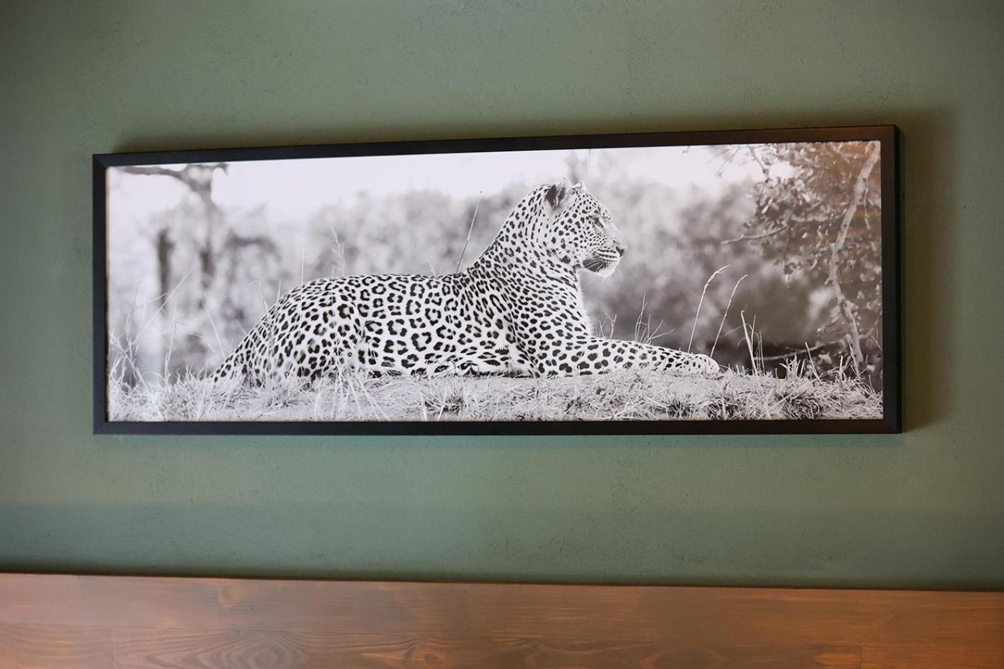 Tomo Safari Lodge Hoedspruit Ruang foto